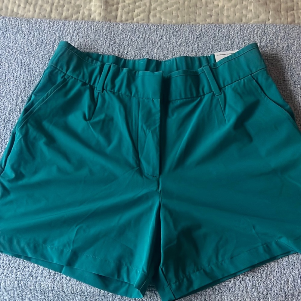 Nike Golf Teal Women’s Shorts Dri Fit size L